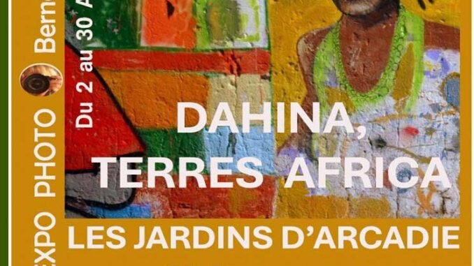 Affiche exposition Dahina Terres Africa