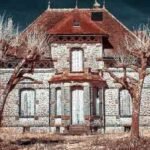 photo d'une vieille maison avec 1 étage derrière deux arbres sans feuilles