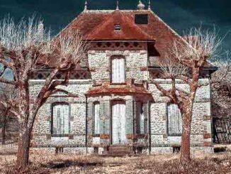 photo d'une vieille maison avec 1 étage derrière deux arbres sans feuilles