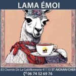 image d'un lama vu de face avec une tasse posée devant lui
