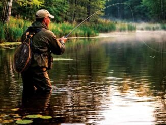 photo d'un pêcheur en cuissardes dans l'eau jusqu'aux genoux photographié de dos