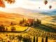 photo d'un paysage de Toscane avec des montgolfières dans le ciel